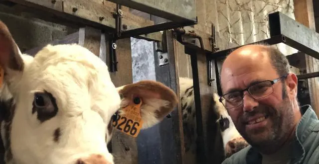 photo sylvain quellier, vice-président du festival de l’élevage et agriculteur au château-d’almenèches, conduira trois de ses veaux à argentan pour le stand «?une vie de normande?». &copy; ouest-france
