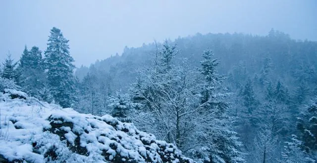 photo nicolas blanchard va soutenir une thèse sur la forêt d’écouves à l’université de rouen-normandie. &copy; nicolas blanchard