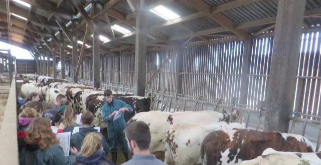 photo les apprenants se rendent régulièrement auprès des animaux de la ferme pour des séances de travaux pratiques. &copy; archives ouest-france