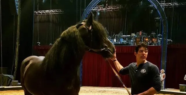 photo loki, alias, fali du caroi, intégrera un spectacle de jonglerie à cheval. &copy; page facebook alexis gruss