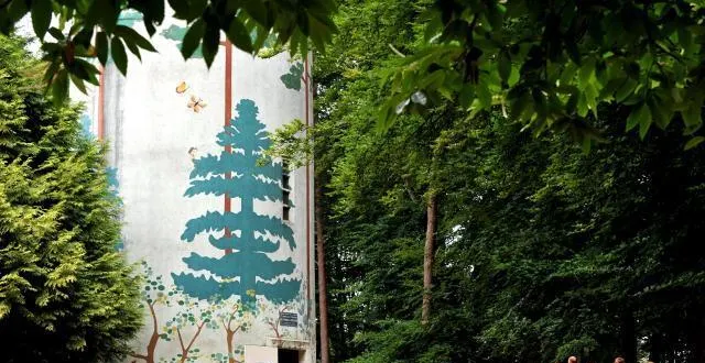 photo un site à découvrir au cœur du massif forestier de perseigne. &copy; ouest-france