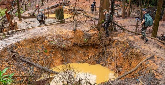 photo des gendarmes français sur un site illégal d'extraction de l'or à 60 km de la capitale cayenne.