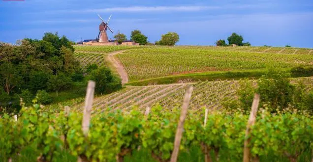 photo maine-et-loire. tourisme : le début de saison en demi-teinte