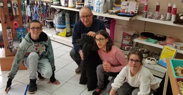 photo doué-en-anjou. « jusqu’à quatre heures de travail pour toiletter un gros chien »
