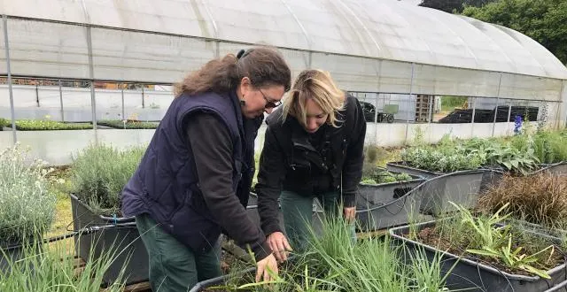 photo sylvia et joëlle sont les techniciennes du centre horticole du mans qui ont planté tous les végétaux qu’on trouvera sur la place de la république cet été, sauf les arbres. &copy; ouest-france