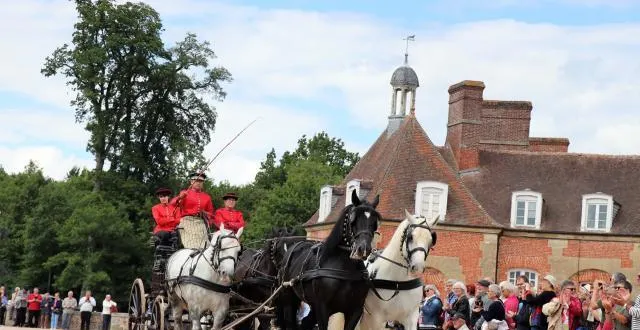 photo les jeudis du pin s’achèvent sur la présentation des attelages hippomobiles dans la cour d’honneur du haras. &copy; ouest-france