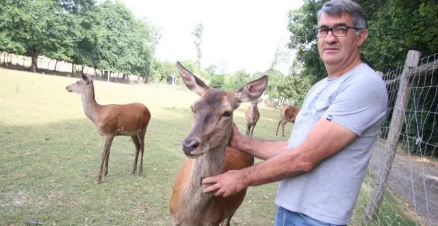 photo « ici, on ne va pas voir les animaux, ce sont les animaux qui viennent à nous », souligne dominique vadé. &copy; ouest france