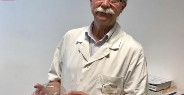 photo alimentation. attention aux parasites des poissons !