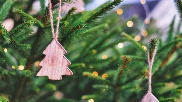 Sapin naturel ou sapin artificiel : lequel est le plus écologique