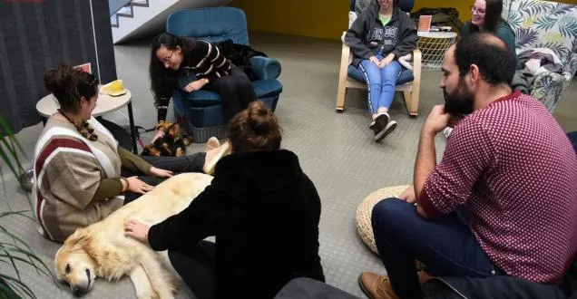 photo maine-et-loire. chats et chiens au chevet des étudiants dans les bu d’angers