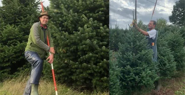 photo fabien (à gauche) et ludovic boul, deux des trois frères, dans l’exploitation de production de sapins. &copy; ouest-france