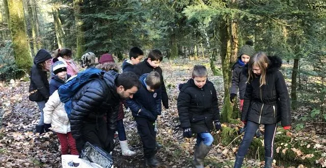 photo le petit groupe avance dans les sous-bois, les yeux rivés sur le sol, pour ne pas passer à côté des empreintes d’animaux. &copy; ouest-france