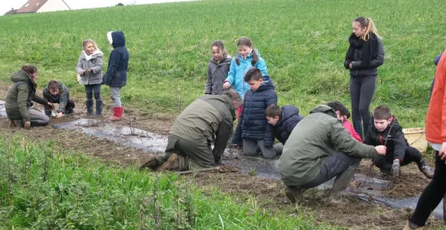 photo sous les conseils avisés des adultes, les élèves de la craie des champs ont participé à la plantation de 400 m de haies. &copy; le maine libre
