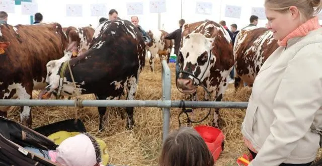 photo les organisateurs estiment qu’au moins 10 000 personnes ont fréquenté cette 7e fête de la normandie, à argentan. &copy; ouest-france