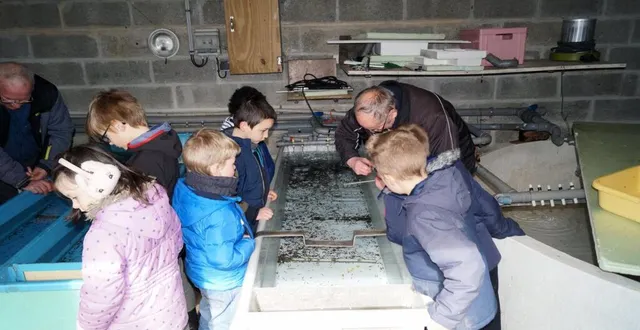 photo des yeux émerveillés devant les bassins d’éclosion des truitelles. &copy; ouest-france