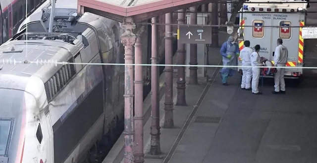 photo les patients ont été pris en charge à bord du tgv médicalisé dans la gare de strasbourg, pour ensuite rejoindre les pays de la loire. &copy; afp