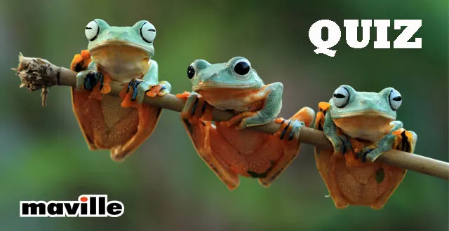 photo 10 questions de sciences naturelles &copy;   crédits : aulia maghfiroh sur istock