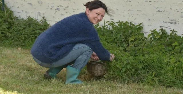 photo isabelle leroy récolte des orties à domicile. elle les cuisine ensuite à toutes les sauces. &copy; collection marc leroy