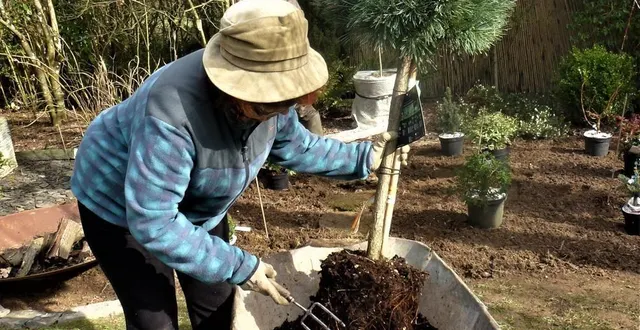 photo michèle manson prépare la création d’un nouveau parterre &copy; ouest-france