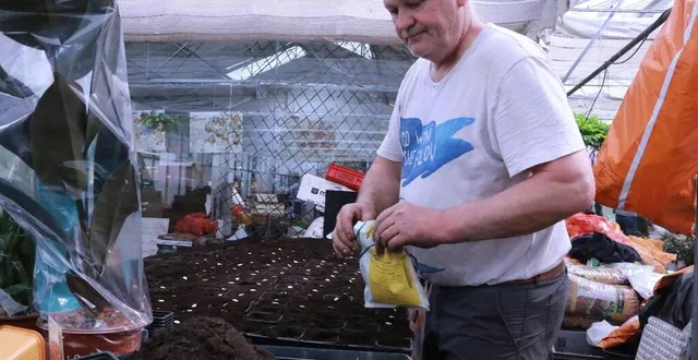 photo la jardinerie de thierry habert ne désemplit pas. &copy; ouest-france