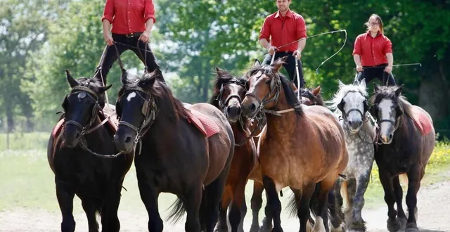 photo chaque année, les spectacles équestres de la ferme de la michaudière, attire plus de 60 000 visiteurs. &copy; archives ouest-france