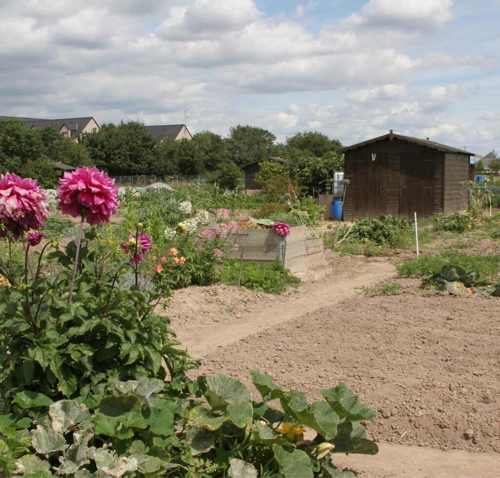 Coronavirus. Ancenis-Saint-Géréon rouvre les jardins familiaux sous