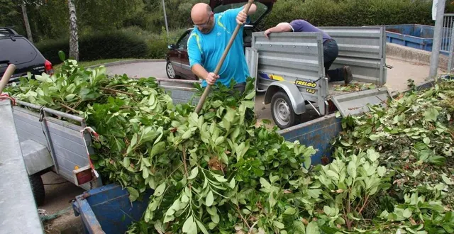 photo il est fort probable que les percherons iront déposer les déchets verts entreposés chez eux depuis le début du confinement. &copy; archives ouest-france