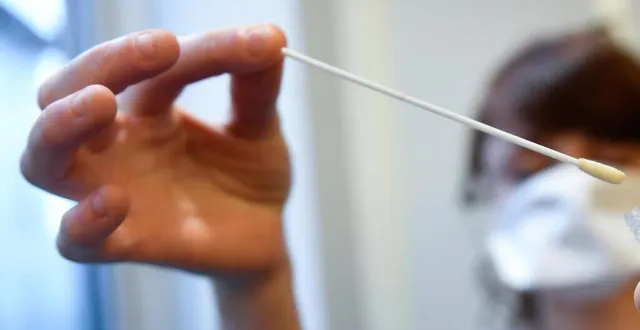 photo alors que la france s’approchait de la pénurie d’écouvillons, le groupe lemoine, seul fabricant tricolore, a pu effectuer ses premières livraisons, le 23 avril. &copy; archives ouest-france