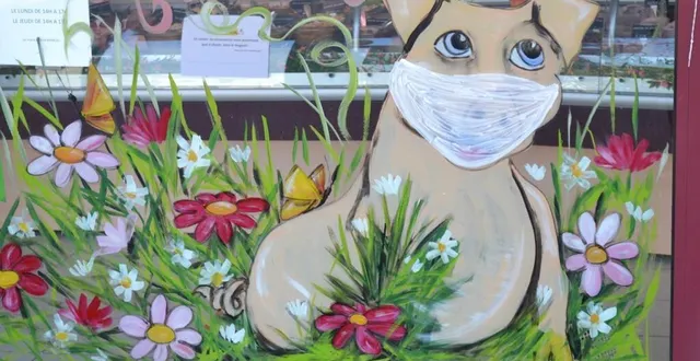 photo même les vitrines reflètent la période sanitaire que nous traversons. &copy; le maine libre