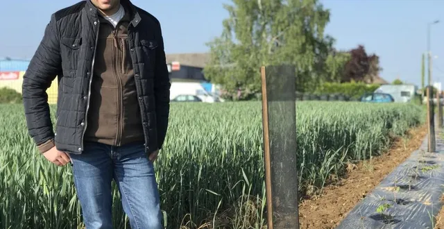 photo luc bertrand, adjoint d’exploitation forestière chez bne, sur l’une des parcelles à écouché accueillant une partie des 11 km de haies bocagères, plantées dans le pays d’argentan. &copy; ouest-france
