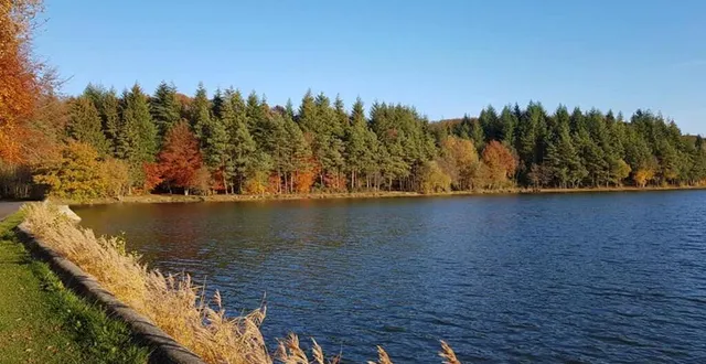 photo l’étang de chaumont est la propriété de l’abbaye de la trappe. &copy; dr