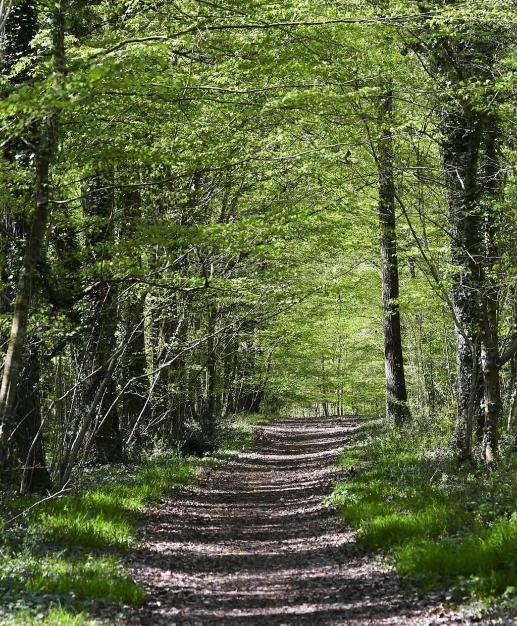 Le Mans. L Arche de la Nature rouvre ses chemins Le Mans.maville