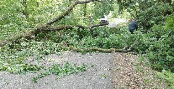 photo sur l’un des sites forestiers touchés, jérôme dodier, technicien territorial onf, à droite, aidé d’un ouvrier forestier, s’emploie au déblaiement d’un chêne qui s’est abattu route forestière vallée d’enfer. &copy; le maine libre