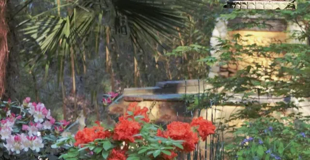 photo les azalées japonaises bordent la cascade de la partie japonaise. &copy; me maine libre