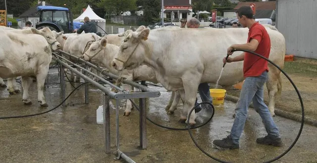photo les agriculteurs aimeraient organiser un événement en septembre. &copy; photo archives le maine libre – yvon loué