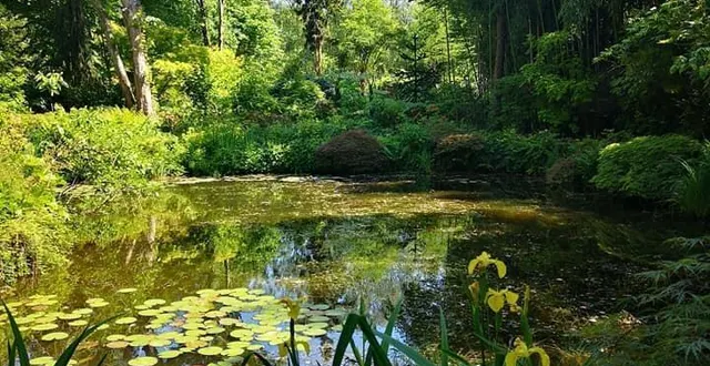 photo des coins de verdure et d’ombres à découvrir au gré d’une promenade intimiste. &copy; le maine libre