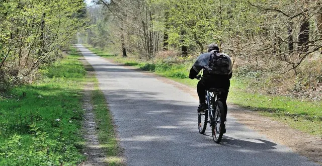 photo les forêts du parc naturel régional du perche, un des atouts de l’orne pendant les ponts du mois de mai. &copy; archives jonathan konitz, ouest-france