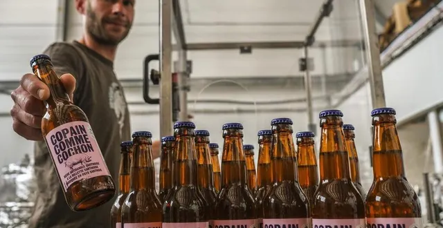 photo écommoy, mardi 26 mai 2020. jérôme barreau, ici en phase d’étiquetage de la « copain comme cochon », une bière blonde aux rillettes. il en a brassé environ 500 litres. &copy; le maine libre – denis lambert