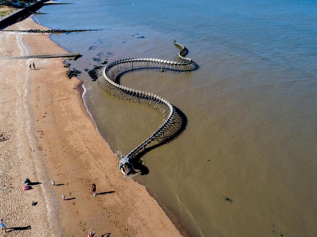 VIDÉO. Un serpent aperçu sur une plage des Sables-d'Olonne