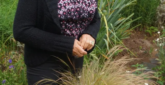 photo bernadette denay vous reçoit parmi ses fleurs et ses plantes dans son jardin de poésie.  &copy; ouest-france