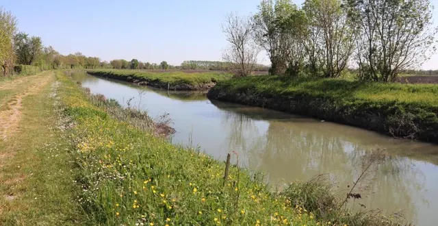 photo le corps de nicole richard avait été découvert non loin du canal de la vieille-autise, à maillé. &copy; ouest-france