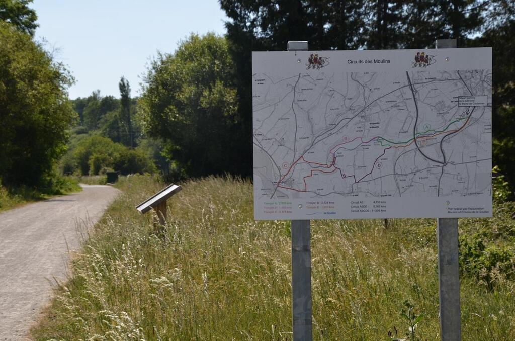 Ravel et sa balade en forêt