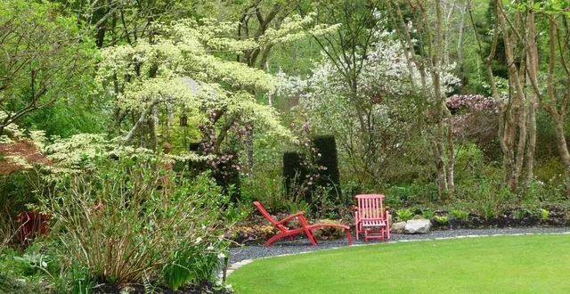 photo le petit bordeaux, toujours une explosion de couleurs &copy; archives le maine libre