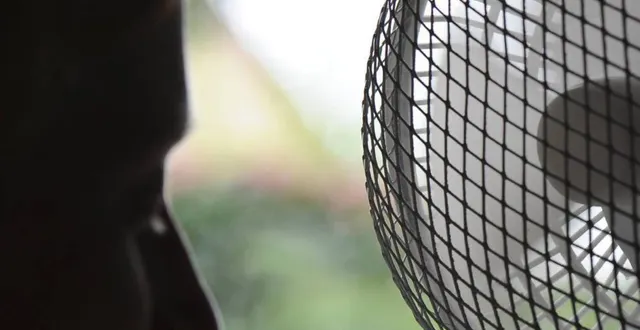 photo on va ressortir les ventilateurs ! &copy; archives le maine libre – hervé petitbon