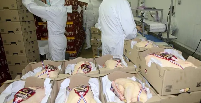 photo la fin d’année est toujours un temps fort pour ldc. &copy; photo archives le maine libre