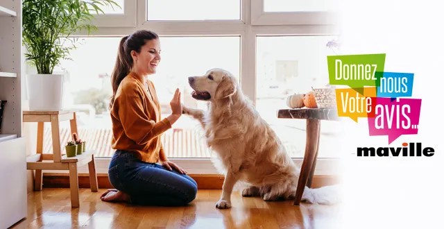 photo un permis obligatoire pour posséder un animal de compagnie : bonne ou mauvaise idée ?