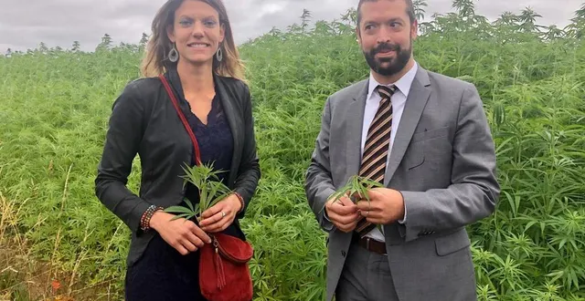 photo mareil-en-champagne, samedi 4 juillet 2020. l’agricultrice magalie rhodé et jean foyer devant le champ de chanvre. &copy; photo le maine libre