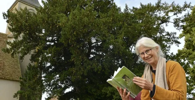 photo évelyne moinet a redonné une mémoire à cet if qui est le plus âgé des arbres de la sarthe. &copy; photo le maine libre – yvon loué