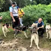 photo petite pause fraîcheur pendant la cani-rando. le musher benjamin thomelin hydrate ses petits protégés.