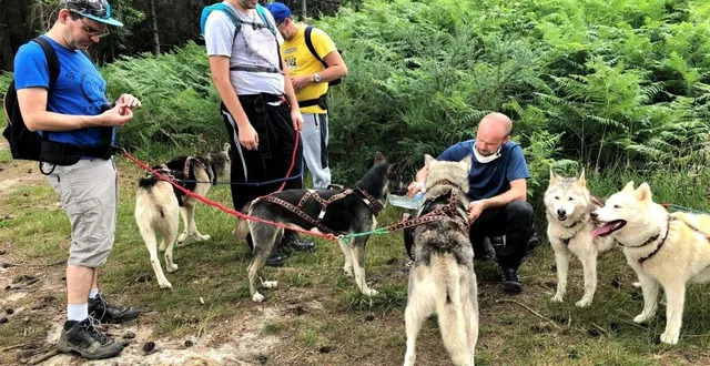 photo petite pause fraîcheur pendant la cani-rando. le musher benjamin thomelin hydrate ses petits protégés. &copy; ouest-france